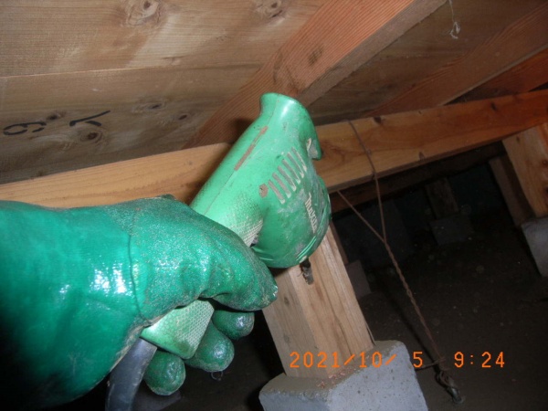 シロアリ消毒工事