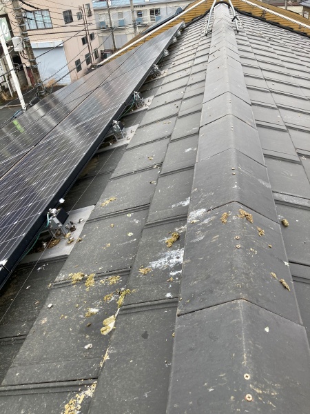 鳩除け網設置工事