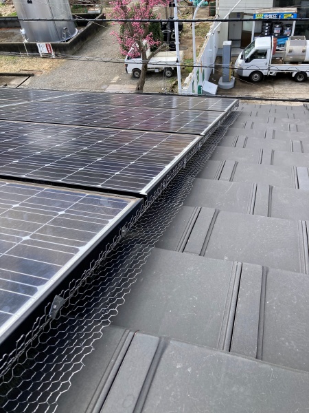 鳩除け網設置工事