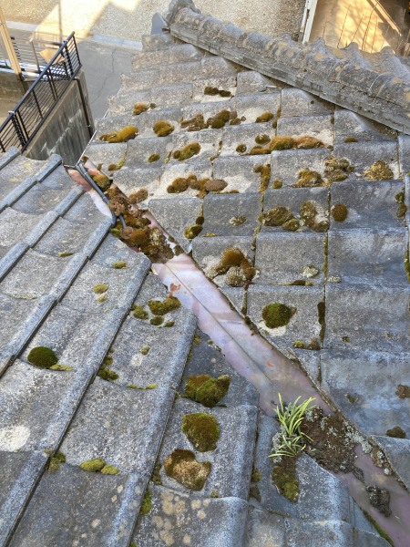 屋根外壁塗装工事