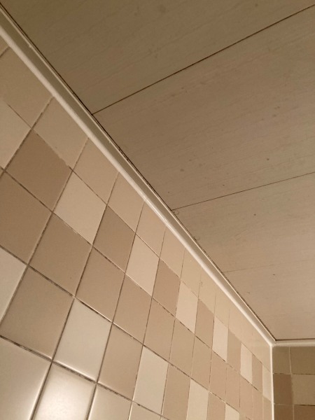 浴室壁クリーニング工事