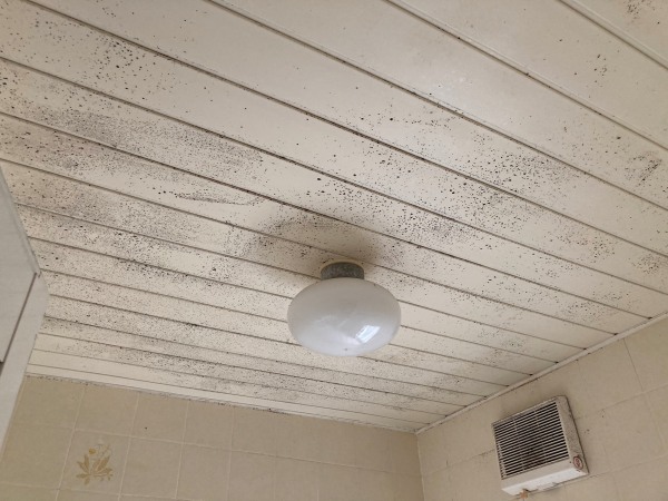 お風呂カビ取りクリーニング